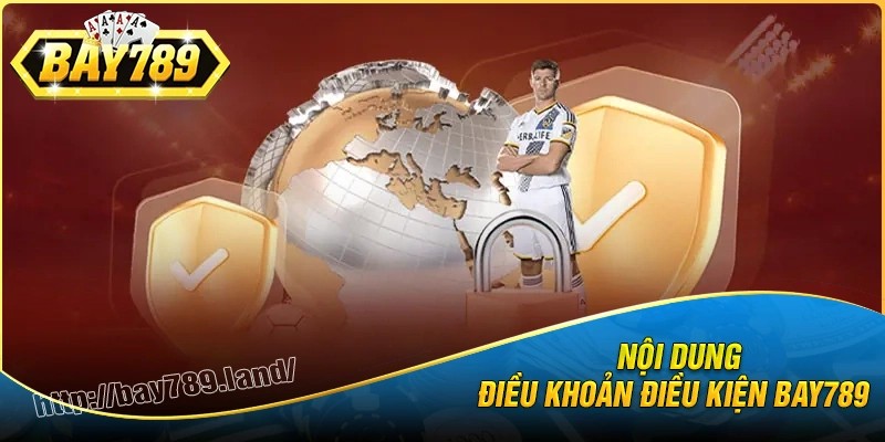 Nội dung các điều khoản và điều kiện bay789
