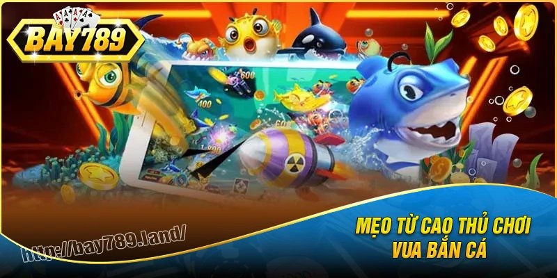 Mẹo chơi vua bắn cá không phải ai cũng biết
