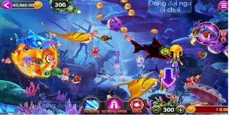 Những ưu điểm được đánh giá cao về sảnh săn cá